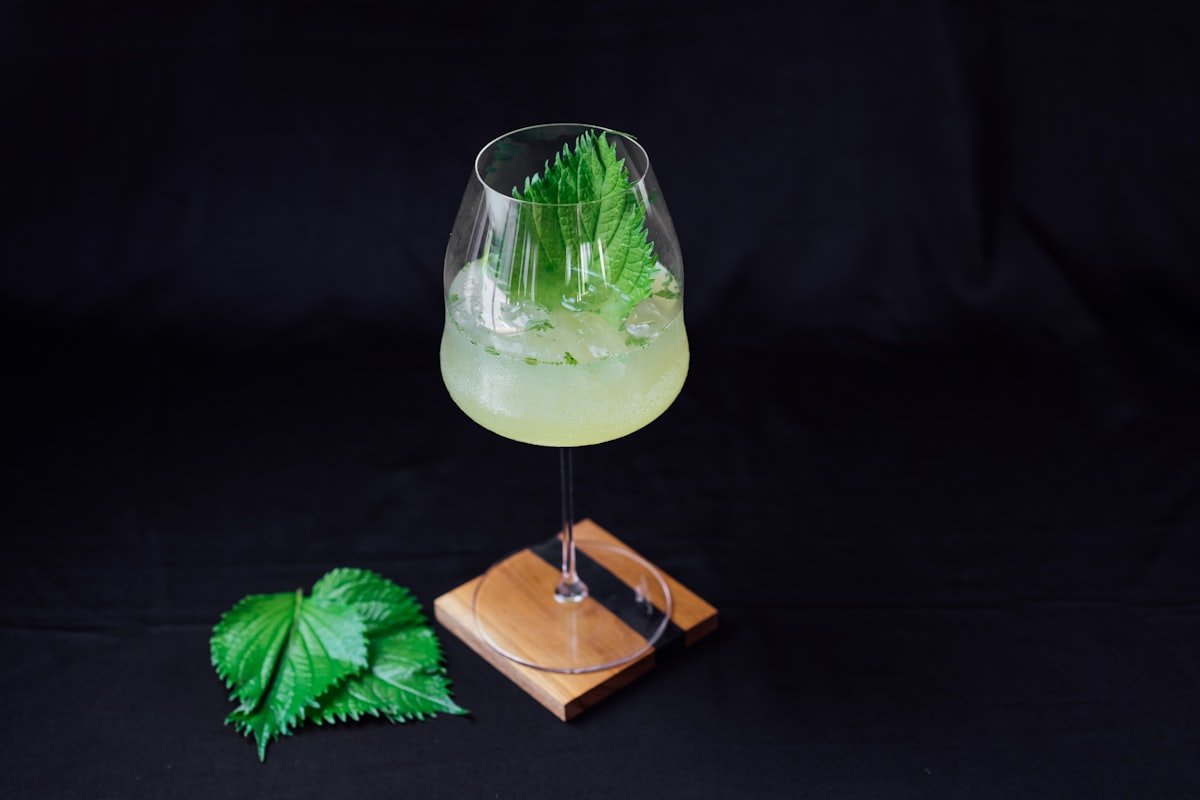 Seedlip Review and Is It Worth the Price?